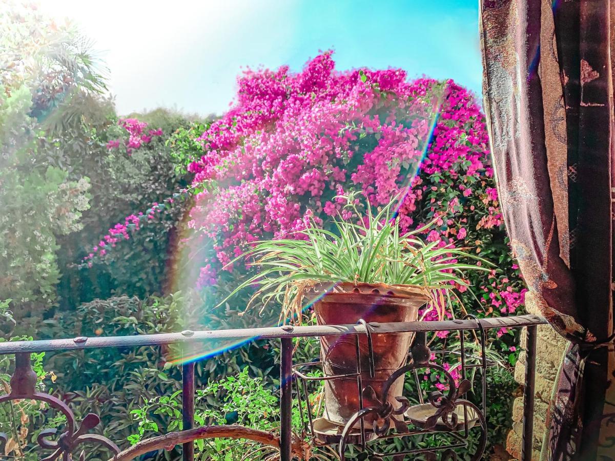 El Portalon Country house Logrosan